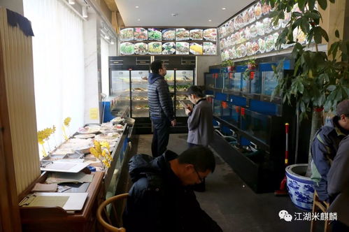 温州皮革厂倒闭后老板来北京开了一家大排档