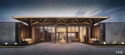 龙湖顺义 御湖境Ⅰ期丨顶峯范本，北京会所诠释顺义芯墅级生活天花板